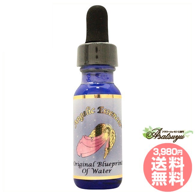 #220 オリジナルブループリントオブウォーター 水の青写真 Original Blueprint of Water アンジェリッ..