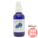 ラブスプレー Love Spray 118ml アンジェリックエッセンス アンジェリックエッセンススプレー フラワーエッセンス