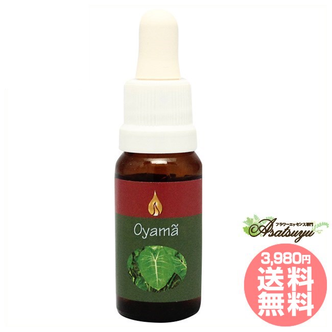オヤマ アラレタマ レインフォレストエッセンス フラワーエッセンス