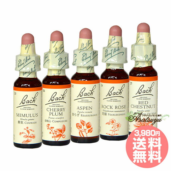 恐れと不安 バッチフラワーレメディ バッチ目的別 フラワーエッセンスのサムネイル