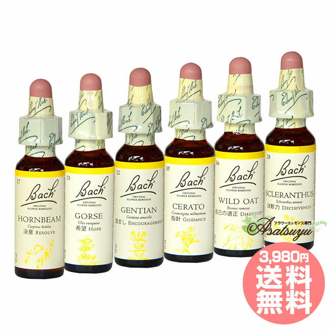 内心の不確かさと不安定 バッチフラワーレメディ バッチ目的別 フラワーエッセンスのサムネイル