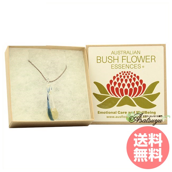 �ϥ��䡼����� �ڥ����� Higher Self �������ȥ�ꥢ��֥å��� �ۥ磻�ȥ饤�� �ե����å���