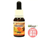 フラワーエッセンスのAsatsuyuで買える「グラガ フラワーエッセンス ヒマラヤンフラワーエンハンサーズ 変容 前向 バランシング フォーカス 子供」の画像です。価格は4,490円になります。