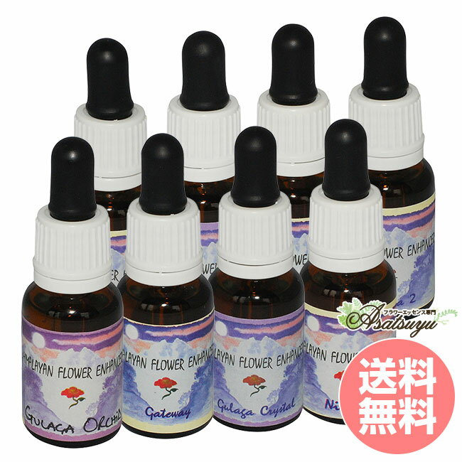 トランスフォーメーション 全8本 ヒマラヤンエンハンサーズ フラワーエッセンス
