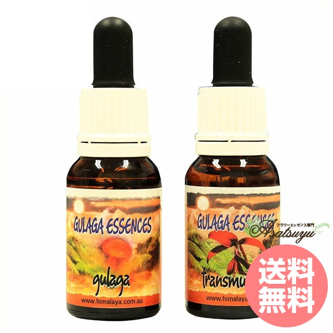 【ポイント10倍(要エントリー)】 グラガ＆トランスミューテーション ヒマラヤンエンハンサーズ フラワーエッセンス 【マラソン期間限定】のサムネイル