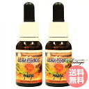 ¥Õ¥é¥ï¡¼¥¨¥Ã¥»¥ó¥¹¤ÎAsatsuyu¤ÇÇ㤨¤ë¡Ö¥°¥é¥¬2ËÜ ¥Ò¥Þ¥é¥ä¥ó¥¨¥ó¥Ï¥ó¥µ¡¼¥º ¥Õ¥é¥ï¡¼¥¨¥Ã¥»¥ó¥¹¡×¤Î²èÁü¤Ç¤¹¡£²Á³Ê¤Ï7,980±ß¤Ë¤Ê¤ê¤Þ¤¹¡£