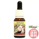 メーカー Himalayan Flower Enhancers シリーズ名 ヒマラヤンエンハンサーズ 単品名称 ステアウェイトゥヘブンエッセンス 原材料 水・アルコール類・エッセンシャルオイル・その他 内容量 15ml 賞味期限 パッケージに記載 製造者 Himalayan Flower Enhancers 生産国 オーストラリア 輸入者 ネイチャーワールド(株) 資料提供 ネイチャーワールド(株) 使用上の注意 ラベルのデザインが変更になる場合がございます。予めご了承ください。 本品は化粧品や医薬品ではありません。 効果は個人によって異なり、特定の効果を保証するというものではありません。 服用はお控えください。 広告文責 (株)B-CRUISE(0362724460) キーワード Stairway to Heaven Q：フラワーエッセンスって何？ フラワーエッセンスは、花が持つ癒しを「エッセンス」というかたちで取り込む自然療法です。花や草木を育てたり触れたりすることによって「癒されたなぁ」と感じたことがある方もいるるのではないでしょうか。その「癒しエネルギー」を水に転写したものをフラワーエッセンスといいます。特に「癒し」が強かった「花」を中心に、動物や鉱石、自然環境などの様々な自然界の「癒しエネルギー」からフラワーエッセンスが作られています。フラワーエッセンスは欧米では日常レベルで根付いており、レスキュー隊などの常備品として使われていたり、薬局で売られていたりしています。 Q：フラワーエッセンスはいつから使われてるの？ 1936年にイギリスの高名な医師エドワード=バッチ博士により新しい療法として「フラワーエッセンス」は生み出されました。細菌学者であり病理学者でもあったバッチ博士は、患者の訴えに耳を傾けるうちに、従来の診断法・治療法に限界を感じ、「すべての病気を癒す方法」を模索するようになります。野生の植物に心や感情を癒す力に注目し、長い年月をかけ始まりの38種類からなる現在バッチフラワーレメディーと呼ばれるフラワーエッセンスを完成させました。 Q：フラワーエッセンスとアロマの違いは何？ 「フラワーエッセンス」という名前から花のエキスを抽出し、香りや色がついていると思う方が多いかもしれませんが、花の香りや色、味などは入っておりません。 アロマオイルは植物の「香りなどの成分」を抽出し芳香を楽しむものに対し、フラワーエッセンスは「癒しのエネルギー」を水に転写したものになります。 Q：誰でも使えるの？ フラワーエッセンスは他の薬や治療法と併用してお使いできます。アロマテラピーなどで使用する精油などには、妊婦や小さいお子様に使えない種類などがありますが、フラワーエッセンスにはありません。性別や年齢関問わず、小さなお子様からお年寄りまで全ての方、またペットまでお使いいただけます。ヒマラヤンエンハンサーズ タスマニアンウィルダネスエッセンス ステアウェイトゥヘブンエッセンス 意識をより上へと推し進めてくれる タスマニアンウィルダネスエッセンス このシリーズのエッセンスは、タスマニア最南の原野、マートルの原始森に生育するキノコを中心につくられています。タスマニアンウィルダネスエッセンスは、使えば使うほど古い友人のように思えてきます。密接に繋がりあう広大無辺の宇宙の中で、交響曲のように精緻に構成された共時性にぴったり連動し、まるでそれぞれが意識や人格、そして活動領域をもった存在のようです。時空や転生を超えた大きなエネルギー、スピリット、つまり存在すべてに働きかけるエッセンスなのです。 意識をより上へと推し進めてくれる アンシェントマートルの根元に育つ白いサンゴ礁のようなキノコです。意識の上層でと昇っていける、階段状の道を与えてくれるでしょう。変化のときにより大きな気づきを得て、一歩先に波長を合わせられるように。気づきの波が身体を上昇し、固定の容器の中にあるゴミを掃除してくれます。 ■ステアウェイ　トゥ　ヘブンからの声 私は意識の階層を明らかにし受け入れます。