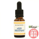 キープブリージングKeep Breathing インディゴエッセンス サバイバル フラワーエッセンス(4)