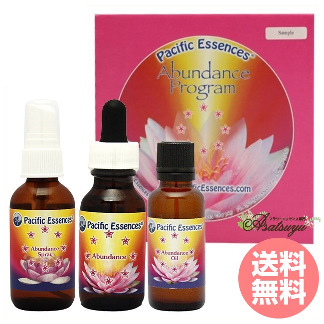 アバンダンスプログラム 日本語訳付 豊かさ パシフィックエッセンス アバンダンス