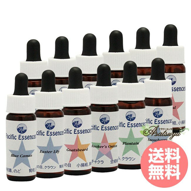 �ե����å��� 1 ��12�� �ѥ��ե��å����å��� �ե����å��� 1 �ե����å���