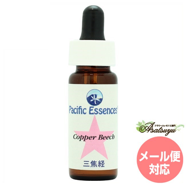 コッパービーチ Copper Beech パシフィックエッセンス ツリーエッセンス フラワーエッセンス