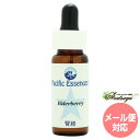 エルダーベリーElderberry パシフィックエッセンス ツリーエッセンス メール便 フラワーエッセンス