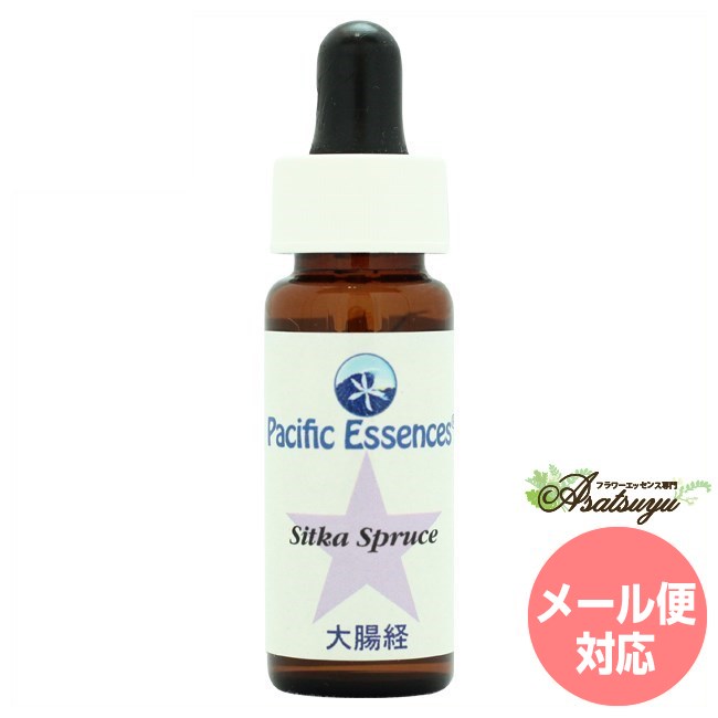 シッカスプルース Sitka Spruce パシフィックエッセンス ツリーエッセンス フラワーエッセンス