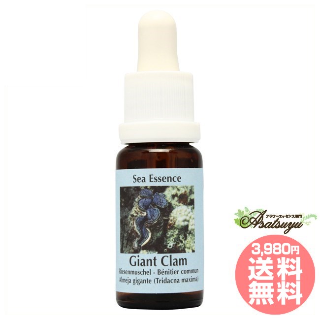 Other - ジャイアントクラムGiant Clam コルテPHIエッセンス シーエッセンス フラワーエッセンス