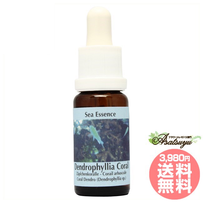 デンドロフィリアDendrophyllia コルテPHIエッセンス シーエッセンス フラワーエッセンス