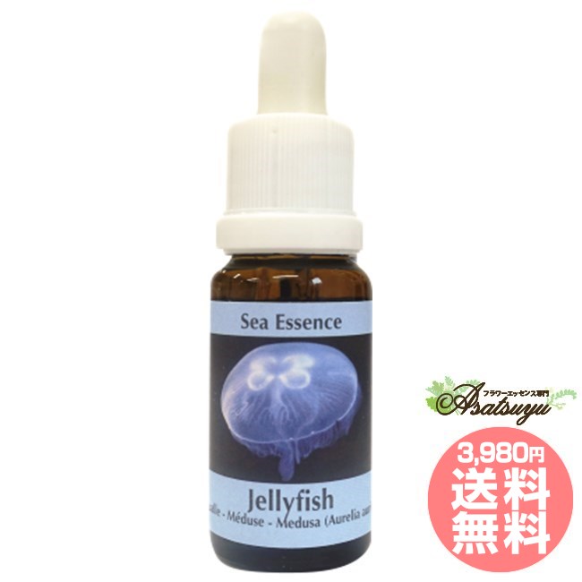 ジェリーフィッシュJellyfish コルテPHIエッセンス シーエッセンス フラワーエッセンス