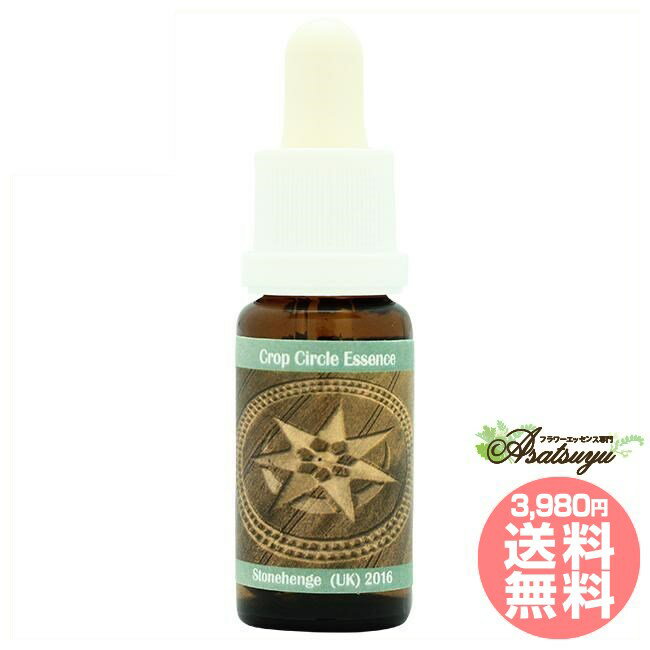 #183 Stonhenge, UK 2016 コルテPHIエッセンス クロップサークルエッセンス フラワーエッセンス