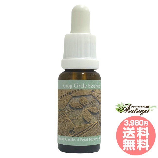 #197 Yarnbury Castle, 4 Petal Flower コルテPHIエッセンス クロップサークルエッセンス フラワーエッ..