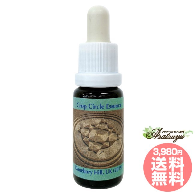 #202 Danebury Hill, UK (2019) クロップサークルエッセンス コルテPHIエッセンス フラワーエッセンス