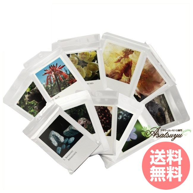 コルテPHI写真カード 全273枚 コルテPHIエッセンス その他 フラワーエッセンス