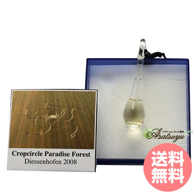 #96 クロップサークル パラダイスフォレスト ペンダント コルテPHIエッセンス その他 フラワーエッセンス