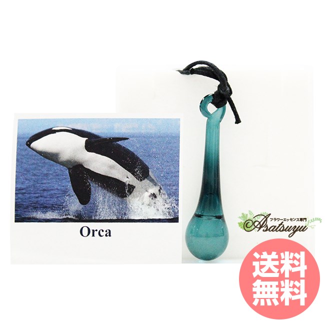 オルカのエッセンス入り ペンダント コルテPHIエッセンス その他 フラワーエッセンス