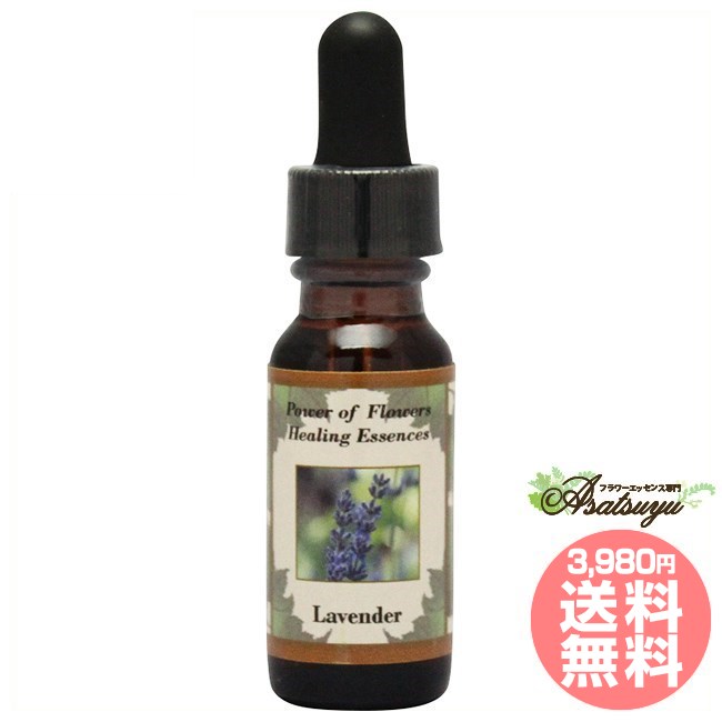 ラベンダー パワーオブフラワーヒーリング パワーオブフラワーヒーリングエッセンス フラワーエッセンス