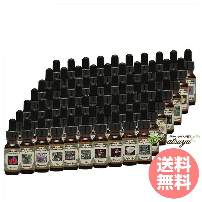全シングルエッセンス 70本 パワーオブフラワーヒーリング パワーオブフラワーヒーリングエッセンス フラワーエッセンス