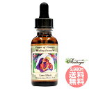 イルカ エッセンス《コルテPHIエッセンス》15ml　[デルフ/イルカ/Dolphin/イルカエッセンス/PHI]【メール便対象】