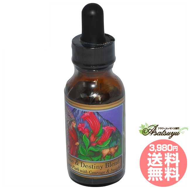 パーパスアンドデスティニーブレンド パワーオブフラワーヒーリング セブンエッセンスブレンズ フラワーエッセンス