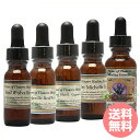 ルイジアナアイリス 全5本 パワーオブフラワーヒーリング ルイジアナ・アイリス フラワーエッセンス