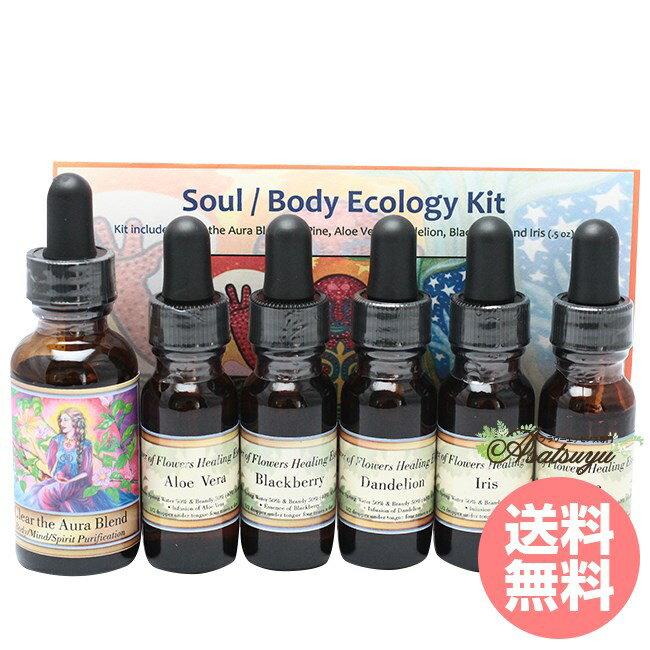 ������ �ܥǥ����������� �ѥ���֥ե��ҡ���� 6�� ����¾ �ե����å���