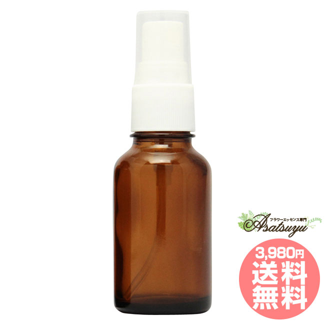 ȥ꡼ȥȥץ졼 30ml ֥饦 12