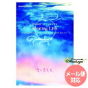 シリーズ ヒーリングミュージック アーティスト名 宮下富実夫 商品名 HEALING LIVE 収録時間 本編50分/特典9分秒 曲目リスト 1.session 2.Bermuda Angel 3.Holy Place 4.誕生 発売年 2...