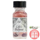 CtXEp[pX Life's purpose l̖ړI AVFg[IC [