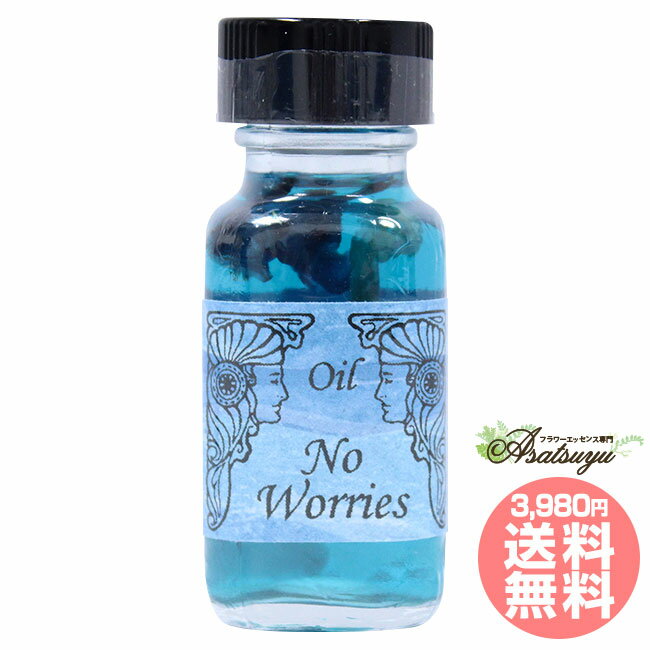 ノー・ウォーリー ズ No Worries 心配無用 アンシェントメモリーオイルのサムネイル