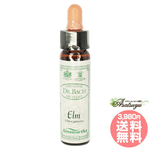 エルム Elm エインズワースレメディ エッセンス フラワーエッセンス エルム Elm エインズワースレメディ エッセンス フラワーエッセンス