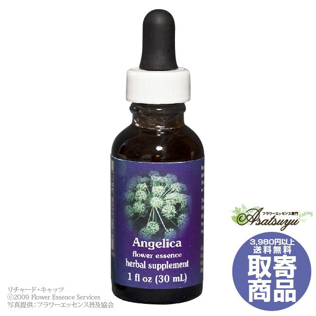 アンジェリカ 30ml FESフラワーエッセンス クイントエッセンス キャンセル不可商品 フラワーエッセンスのサムネイル
