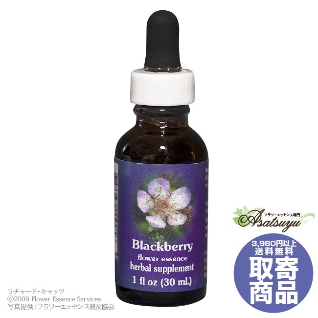 ブラックベリー 30ml FESフラワーエッセンス クイントエッセンス 取り寄せ キャンセル不可 フラワーエッセンス
