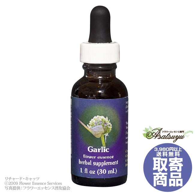 ガーリック 30ml FESフラワーエッセンス クイントエッセンス 取り寄せ キャンセル不可 フラワーエッセ..