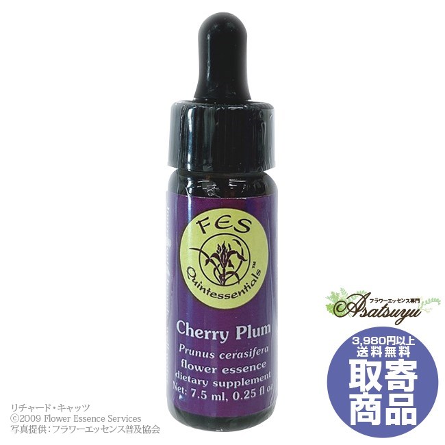 チェリープラム(7.5ml) Cherry Plum FESフラワーエッセンス リサーチバッチ 取り寄せ キャンセル不可 フラワーエッセンス