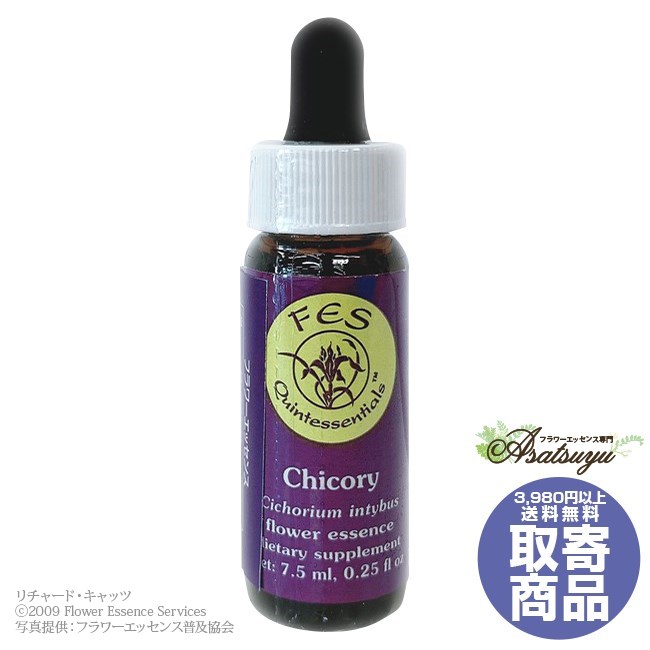 チコリー(7.5ml) Chicory FESフラワーエッセンス リサーチバッチ 取り寄せ キャンセル不可 フラワーエ..