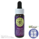 `R[(7.5ml) Chicory FESt[GbZX T[`ob`  LZs [ t[GbZX