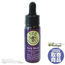 bNEH[^[(7.5ml) Rock Water FESt[GbZX T[`ob`  LZs [ t[GbZX