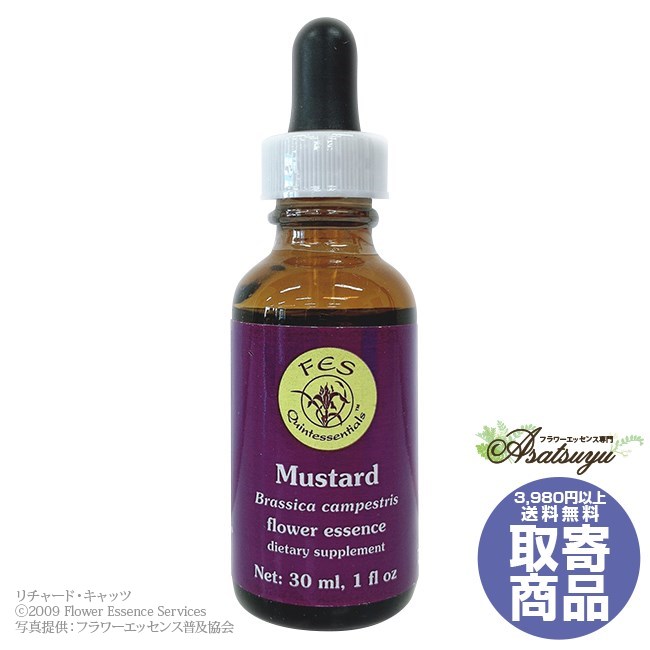 マスタード(30ml) Mustard FESフラワーエッセンス リサーチバッチ 取り寄せ キャンセル不可 フラワーエッセンス