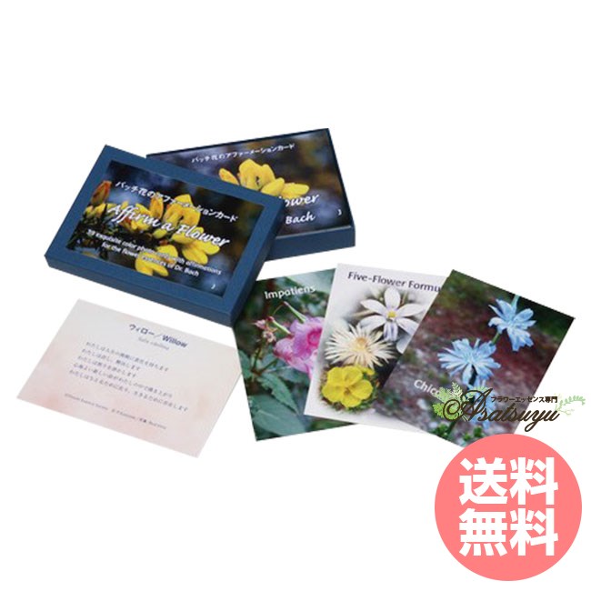 バッチアファメーションカード(日本語版)全39枚 FESフラワーエッセンス その他 フラワーエッセンス