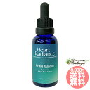 メーカー名 ハートラディエンスエッセンス(Heart Radiance Essences) シリーズ ブレンドエッセンス 商品名 ブレインバランス(Brain Balance) 製造者 アニー・メレディス 原材料/品質 水、ブランデー、海塩、フラワーエッセンス 内容量 30ml 賞味期限 パッケージに記載 生産国 オーストラリア 輸入者 ネイチャーワールド株式会社 資料提供 ネイチャーワールド株式会社 広告文責 (株)B-CRUISE(0362724460) 使用上の注意 本品は化粧品や医薬品ではありません。 効果は個人によって異なり、特定の効果を保証するというものではありません。開封後は、お早めにお召し上がりください。直射日光、高温多湿を避けて保存してください。 キーワード Brain Balance Q：フラワーエッセンスって何？ フラワーエッセンスは、花が持つ癒しを「エッセンス」というかたちで取り込む自然療法です。花や草木を育てたり触れたりすることによって「癒されたなぁ」と感じたことがある方もいるるのではないでしょうか。その「癒しエネルギー」を水に転写したものをフラワーエッセンスといいます。特に「癒し」が強かった「花」を中心に、動物や鉱石、自然環境などの様々な自然界の「癒しエネルギー」からフラワーエッセンスが作られています。フラワーエッセンスは欧米では日常レベルで根付いており、レスキュー隊などの常備品として使われていたり、薬局で売られていたりしています。 Q：フラワーエッセンスはいつから使われてるの？ 1936年にイギリスの高名な医師エドワード=バッチ博士により新しい療法として「フラワーエッセンス」は生み出されました。細菌学者であり病理学者でもあったバッチ博士は、患者の訴えに耳を傾けるうちに、従来の診断法・治療法に限界を感じ、「すべての病気を癒す方法」を模索するようになります。野生の植物に心や感情を癒す力に注目し、長い年月をかけ始まりの38種類からなる現在バッチフラワーレメディーと呼ばれるフラワーエッセンスを完成させました。 Q：フラワーエッセンスとアロマの違いは何？ 「フラワーエッセンス」という名前から花のエキスを抽出し、香りや色がついていると思う方が多いかもしれませんが、花の香りや色、味などは入っておりません。 アロマオイルは植物の「香りなどの成分」を抽出し芳香を楽しむものに対し、フラワーエッセンスは「癒しのエネルギー」を水に転写したものになります。 Q：誰でも使えるの？ フラワーエッセンスは他の薬や治療法と併用してお使いできます。アロマテラピーなどで使用する精油などには、妊婦や小さいお子様に使えない種類などがありますが、フラワーエッセンスにはありません。性別や年齢関問わず、小さなお子様からお年寄りまで全ての方、またペットまでお使いいただけます。ハートラディエンスエッセンス ブレンドエッセンス ブレインバランス(Brain Balance) 脳の働きの最適化、学習と理解力の強化、記憶力の低下をサポート ブレンドエッセンス 共通の問題に対処するために意図的に選ばれた複数のエッセンスが入った、使いやすく、選びやすいコンビネーションエッセンスです。人生の広範にわたる共通のステージや変化の過程を対象とし、深く内在している層を明らかにし、目の前にある問題に対する意識をシフトしてくれます。複数の波動が一つのエッセンスに入っているため、より繊細で包括的な癒しのプロセスが可能となります。人生の様々なステージや岐路における感情面や心理面のサポートとしてご使用頂けます。人間関係、仕事上の問題、家族間の問題といった私たちの日常を助けてくれるものです。初心者から経験者まで、スピリチュアル面の成長におけるあらゆる側面をサポートするようデザインされています。 脳の働きの最適化、学習と理解力の強化、記憶力の低下をサポート 脳の働きの最適化、学習と理解力の強化、記憶力の低下をサポートします。 このエッセンスは、脳の多様な働きをエネルギー的にバランスしてくれます。一体感をもたらし、脳の働きを最大限まで高めてくれます。また、幼少期の脳の変化をサポートし、物事を理解するための新しい経路を開いてくれます。ストレスやトラウマになるような衝撃を頭に受けた後の不調による脳の機能低下のサポートや左右および前後の脳のエネルギーに調和をもたらす助けに。記憶の衰えや加齢による脳の変化への不安を和らげてくれます。 ■課題：思考の混乱、学習上の困難さ、記憶力低下への恐れ、トラウマになるような衝撃を頭に受けた後の違和感、左右バランスの問題。 ■癒しの結果：脳の全機能をエネルギー的にバランスさせ、トラウマになるような衝撃を頭に受けた後の健康をサポートします。幼少期の脳を発達段階に合わせてサポートします。加齢による記憶力の低下や、脳の変化に対する恐怖を和らげてくれます。学習や集中力を高めるサポートに。 ■アファメーション：私の脳は身体の叡智と完全にバランスし、明晰な思考、理性的な判断、容易な記憶の回復を可能にします。 ■入っているエッセンス：アカシア、ブルーミンク、コーディライン、ダンデライオン、フレックルフェイス、レースバーク、ミルクウィード、ピンクシャムロック、スネイルバイン、ワイルドアイリス