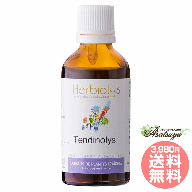 メーカー名 HERBIOLYS シリーズ ジェモセラピー(ミックスジェモエッセンス) 商品名 テンダノリス(Tendinolys) 製造者 HERBIOLYS 原材料/品質 クロスグリ発酵エキス、アルコール、食塩、クロフサスグリエキス、ヨーロッパブドウエキス、モンタナマツエキス、セイヨウシロヤナギエキス 内容量 50ml 賞味期限 パッケージに記載 生産国 フランス 輸入者 株式会社ロアポノ 資料提供 株式会社ロアポノ 広告文責 (株)B-CRUISE(0362724460) 使用上の注意 本品は化粧品や医薬品ではありません。 効果は個人によって異なり、特定の効果を保証するというものではありません。本品は希釈用飲料ですので、原液をそのままお飲みにならないでください。開封後は、お早めにお召し上がりください。直射日光、高温多湿を避けて保存してください。 キーワード Tendinolys Q：フラワーエッセンスって何？ フラワーエッセンスは、花が持つ癒しを「エッセンス」というかたちで取り込む自然療法です。花や草木を育てたり触れたりすることによって「癒されたなぁ」と感じたことがある方もいるるのではないでしょうか。その「癒しエネルギー」を水に転写したものをフラワーエッセンスといいます。特に「癒し」が強かった「花」を中心に、動物や鉱石、自然環境などの様々な自然界の「癒しエネルギー」からフラワーエッセンスが作られています。フラワーエッセンスは欧米では日常レベルで根付いており、レスキュー隊などの常備品として使われていたり、薬局で売られていたりしています。 Q：フラワーエッセンスはいつから使われてるの？ 1936年にイギリスの高名な医師エドワード=バッチ博士により新しい療法として「フラワーエッセンス」は生み出されました。細菌学者であり病理学者でもあったバッチ博士は、患者の訴えに耳を傾けるうちに、従来の診断法・治療法に限界を感じ、「すべての病気を癒す方法」を模索するようになります。野生の植物に心や感情を癒す力に注目し、長い年月をかけ始まりの38種類からなる現在バッチフラワーレメディーと呼ばれるフラワーエッセンスを完成させました。 Q：フラワーエッセンスとアロマの違いは何？ 「フラワーエッセンス」という名前から花のエキスを抽出し、香りや色がついていると思う方が多いかもしれませんが、花の香りや色、味などは入っておりません。 アロマオイルは植物の「香りなどの成分」を抽出し芳香を楽しむものに対し、フラワーエッセンスは「癒しのエネルギー」を水に転写したものになります。 Q：誰でも使えるの？ フラワーエッセンスは他の薬や治療法と併用してお使いできます。アロマテラピーなどで使用する精油などには、妊婦や小さいお子様に使えない種類などがありますが、フラワーエッセンスにはありません。性別や年齢関問わず、小さなお子様からお年寄りまで全ての方、またペットまでお使いいただけます。ジェモセラピー ミックスジェモエッセンス テンダノリス(Tendinolys) スポーツの後に ミックスジェモエッセンス 有機カシス発酵液に様々なハーブや新芽がブレンドされたミックスジェモエッセンスです。初めての方や手軽なセルフケアにおすすめです。 スポーツの後に スポーツの後に ■植物のブレンド クロフサスグリ・ヨーロッパブドウ・モンタナマツ・セイヨウシロヤナギ