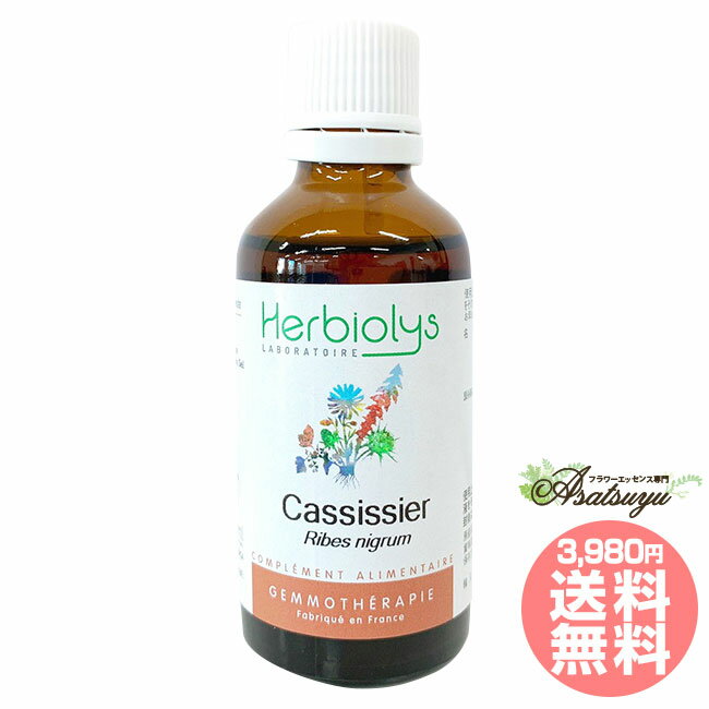 メーカー名 HERBIOLYS シリーズ ジェモセラピー(シングルジェモエッセンス) 商品名 カシス(Cassissier) 製造者 HERBIOLYS 原材料/品質 グリセリン、水、アルコール、 カシス（新芽）エキス、食塩 内容量 50ml 賞味期限 パッケージに記載 生産国 フランス 輸入者 株式会社ロアポノ 資料提供 株式会社ロアポノ 広告文責 (株)B-CRUISE(0362724460) 使用上の注意 本品は化粧品や医薬品ではありません。 効果は個人によって異なり、特定の効果を保証するというものではありません。本品は希釈用飲料ですので、原液をそのままお飲みにならないでください。開封後は、お早めにお召し上がりください。直射日光、高温多湿を避けて保存してください。 キーワード Cassissier Q：フラワーエッセンスって何？ フラワーエッセンスは、花が持つ癒しを「エッセンス」というかたちで取り込む自然療法です。花や草木を育てたり触れたりすることによって「癒されたなぁ」と感じたことがある方もいるるのではないでしょうか。その「癒しエネルギー」を水に転写したものをフラワーエッセンスといいます。特に「癒し」が強かった「花」を中心に、動物や鉱石、自然環境などの様々な自然界の「癒しエネルギー」からフラワーエッセンスが作られています。フラワーエッセンスは欧米では日常レベルで根付いており、レスキュー隊などの常備品として使われていたり、薬局で売られていたりしています。 Q：フラワーエッセンスはいつから使われてるの？ 1936年にイギリスの高名な医師エドワード=バッチ博士により新しい療法として「フラワーエッセンス」は生み出されました。細菌学者であり病理学者でもあったバッチ博士は、患者の訴えに耳を傾けるうちに、従来の診断法・治療法に限界を感じ、「すべての病気を癒す方法」を模索するようになります。野生の植物に心や感情を癒す力に注目し、長い年月をかけ始まりの38種類からなる現在バッチフラワーレメディーと呼ばれるフラワーエッセンスを完成させました。 Q：フラワーエッセンスとアロマの違いは何？ 「フラワーエッセンス」という名前から花のエキスを抽出し、香りや色がついていると思う方が多いかもしれませんが、花の香りや色、味などは入っておりません。 アロマオイルは植物の「香りなどの成分」を抽出し芳香を楽しむものに対し、フラワーエッセンスは「癒しのエネルギー」を水に転写したものになります。 Q：誰でも使えるの？ フラワーエッセンスは他の薬や治療法と併用してお使いできます。アロマテラピーなどで使用する精油などには、妊婦や小さいお子様に使えない種類などがありますが、フラワーエッセンスにはありません。性別や年齢関問わず、小さなお子様からお年寄りまで全ての方、またペットまでお使いいただけます。ジェモセラピー シングルジェモエッセンス カシス(Cassissier) 内側から若々しく「オールマイティ」 シングルジェモエッセンス 1 種類の植物の新芽から抽出されたジェモエッセンスです。本格的なインナーケアやマインドにおすすめです。 内側から若々しく「オールマイティ」 内側から若々しく「オールマイティ」 ネガティブな感情に負けないために新しい自分を一緒に探します。 また、活力あふれる毎日をサポート。ハードワークの方にもオススメです。