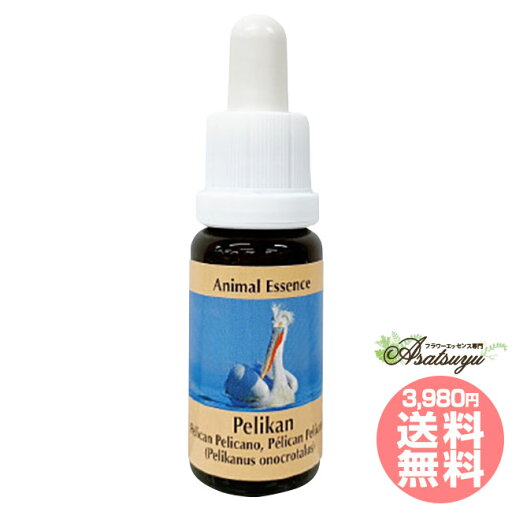 ペリカン Pelican コルテPHIエッセンス アニマルエッセンス フラワーエッセンス ペリカン Pelican コルテPHIエッセンス アニマルエッセンス フラワーエッセンス